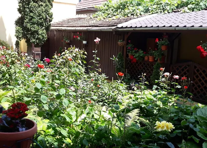 Villa Casa Ioana